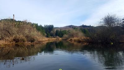 Olalla Slough by Kayak
